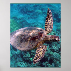 Póster Hawaii Sea Turtle
