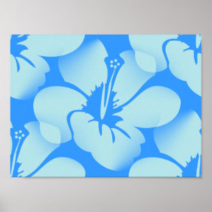 Poster Hawaiian Hibiscus Flowers