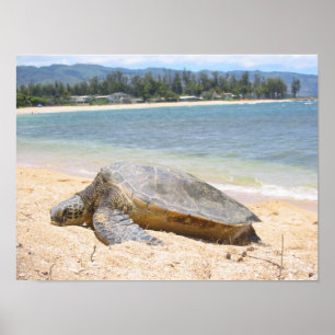 Poster Hawaiian Honu
