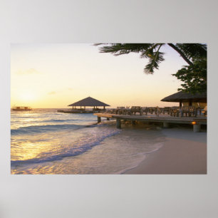 Poster Hawaiian Pier