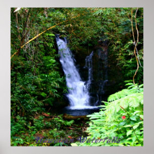 Póster Hawaiian Waterfalls