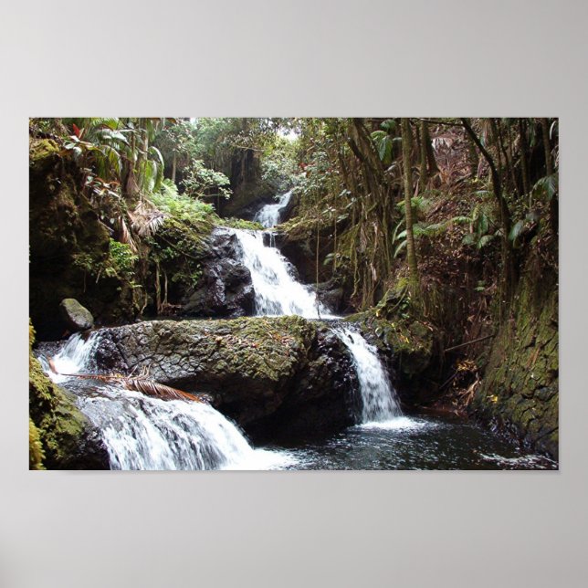 Póster Hawaiin Waterfall (Frente)