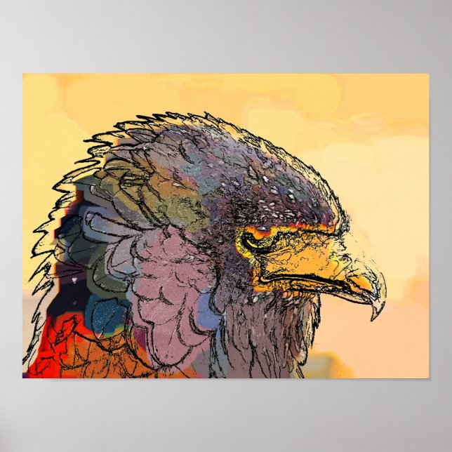 PÓSTER HAWK (Frente)