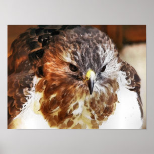 PÓSTER HAWK