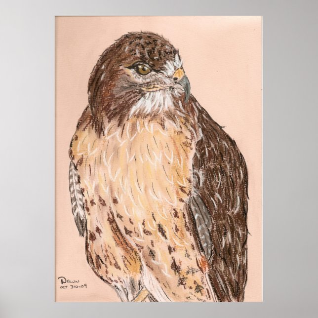 Póster Hawk (Frente)