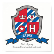 Hawk boys name significa heraldry shield
