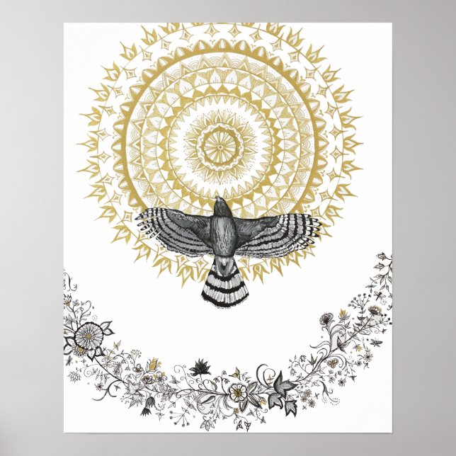 Poster Hawk Dreams (Frente)