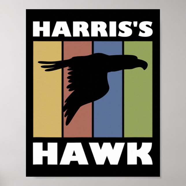 Poster Hawk Falcon Hunter (Frente)