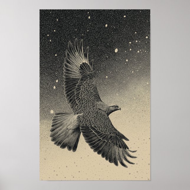 Poster Hawk in a starry night sky (Frente)
