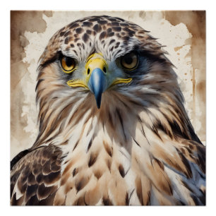 Póster Hawk no 3 Poster brilhante