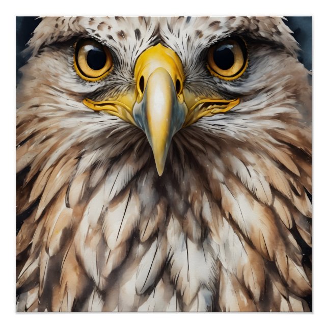 Póster Hawk no 5 Glossy Poster (Frente)