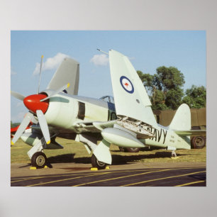Póster Hawker Sea Fury na CAF, Minnesota Wing, no