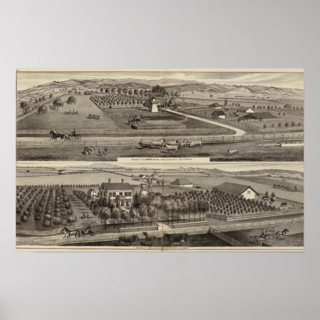 Poster Hawkins, residências Mayes (Frente)