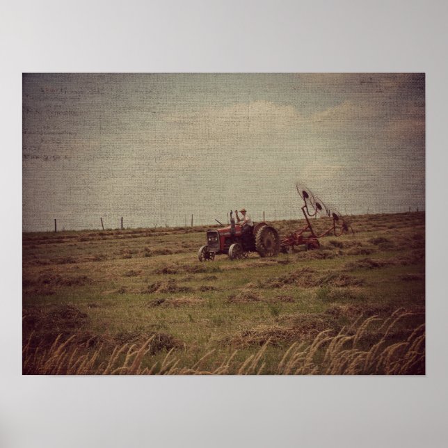 Póster Hay (Frente)