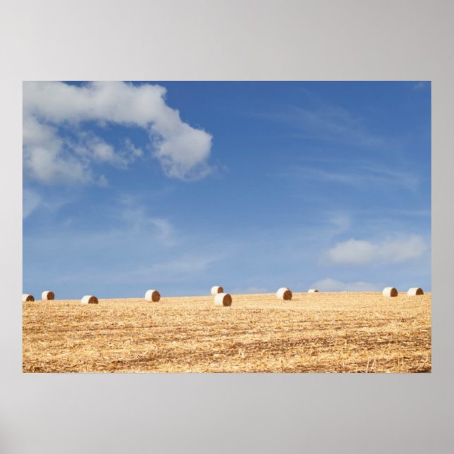 Poster Hay Balança no Campo (Frente)