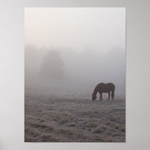 Poster Hazzy Grazing