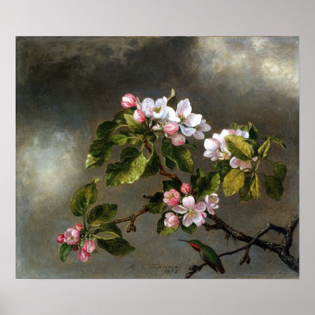 Poster Heade - Blossomas De Beija E Maçã (Frente)