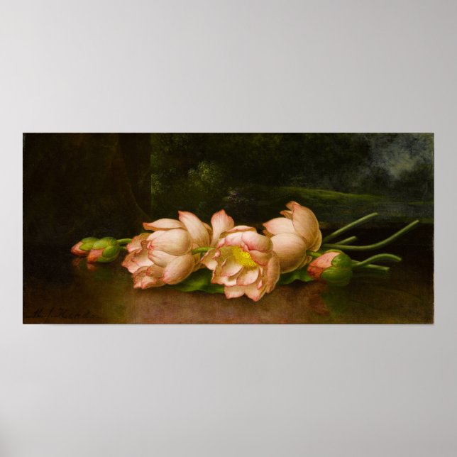 Poster Heade - Flores de Lótus (Frente)