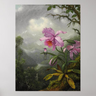 Poster Heade - Hummingbird Emitido Na Planta Orquídea