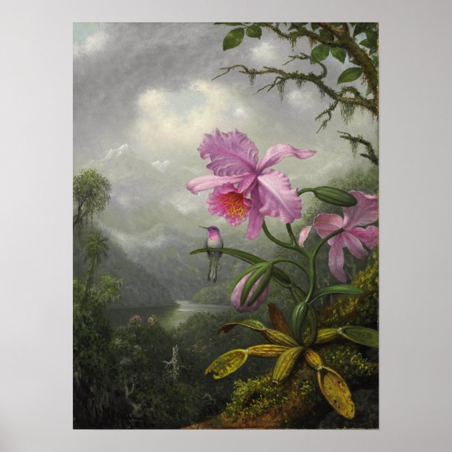 Poster Heade - Hummingbird Emitido Na Planta Orquídea (Frente)