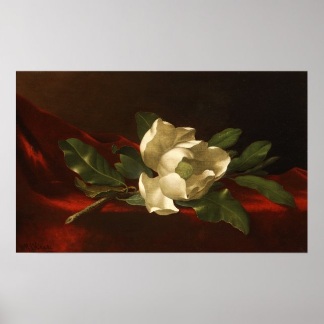 Poster Heade - Magnolia (Frente)