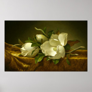 Poster Heade - Magnolias Em Dourado Vestuário De Veludo