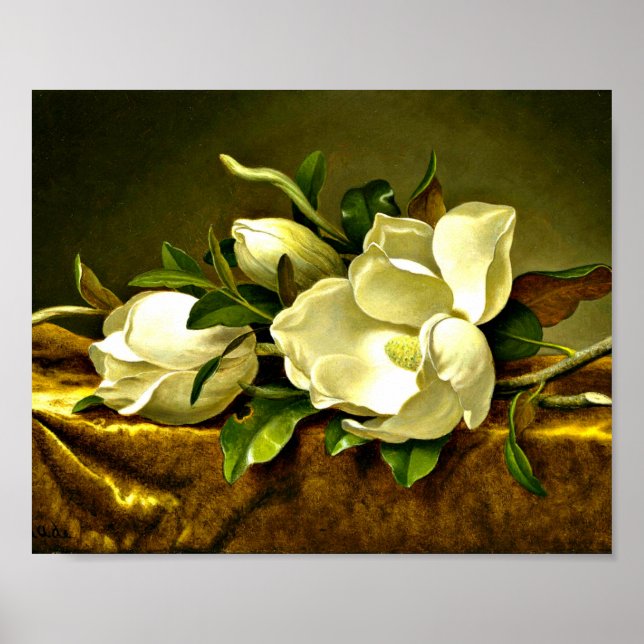 Poster Heade - Magnolias no Dourado Velvet Cloth (Frente)