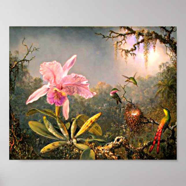 Poster Heade - Orquídea de Cattleya e Três Aves Hummingbi (Frente)