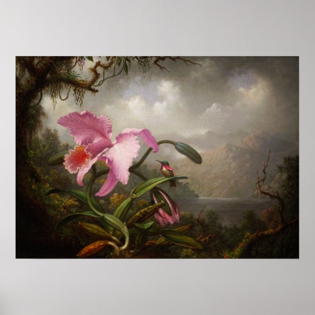 Poster Heade - Orquídea E Hummingbird (Frente)