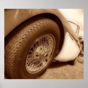 Póster healey de austin