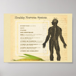 Poster Healthy Nervous System