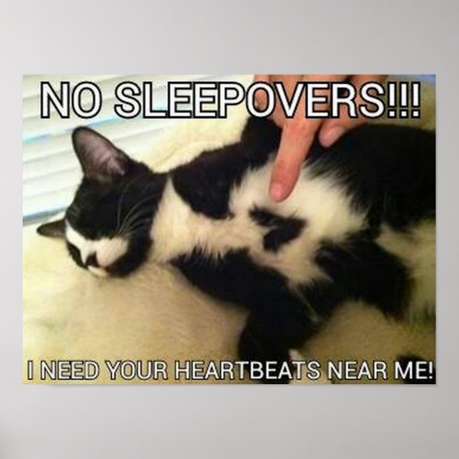 Poster heartbeats (Frente)