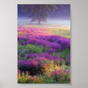 Poster Heather, Minha Heather