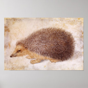 Póster HEDGEHOG/Desenho Animal