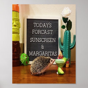 Poster Hedgehog Sunscreen e Margaritas