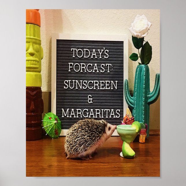 Poster Hedgehog Sunscreen e Margaritas (Frente)