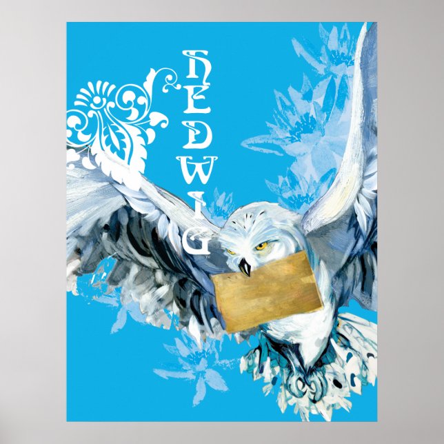 Poster Hedwig (Frente)