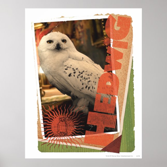 Póster Hedwiges 1 (Frente)