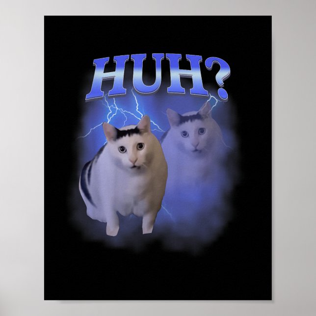 Poster Hei Bobo Cat Meme Engraçado Odsuradamente Da Espec (Frente)