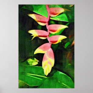 Póster Heliconia tropical - garra da lagosta