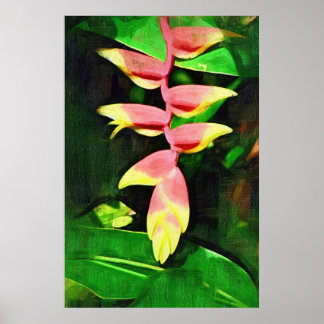 Póster Heliconia Tropical - Lagosta