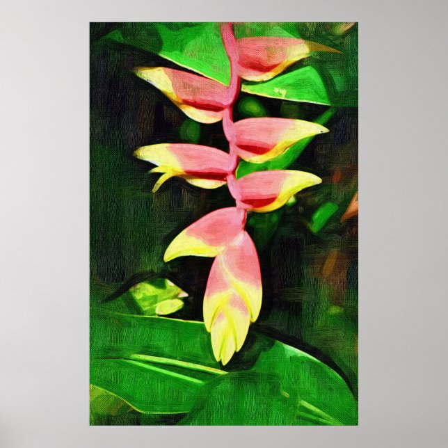 Póster Heliconia Tropical - Lagosta (Frente)