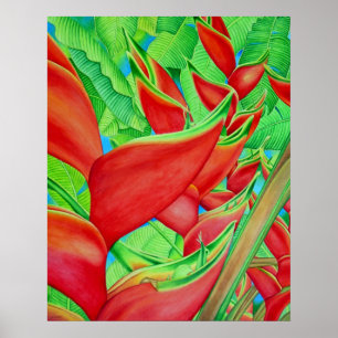 Póster Heliconia vermelho