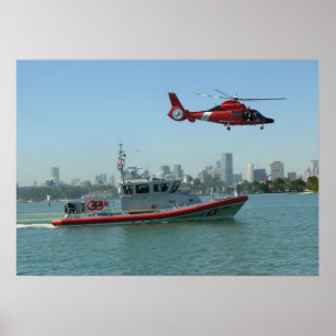 Poster Helicóptero do golfinho da guarda costeira MH-65