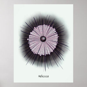 Poster Heliozoa Microbiology Digital Art