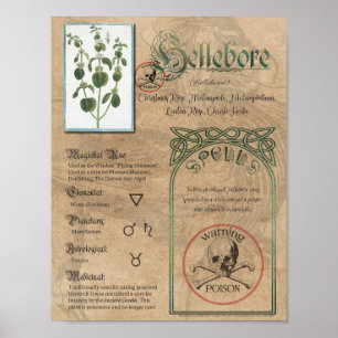 Poster Hellebore Herbal Book of Shadows Pagan Wiccan
