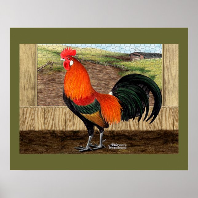 Póster Hen House Hero (Frente)