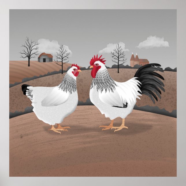 Poster Hen & Rooster (Frente)