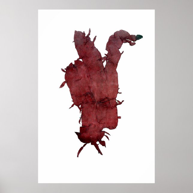 Póster Henry Bradbury's Pressed Seaweed Segundo de Dez (Frente)