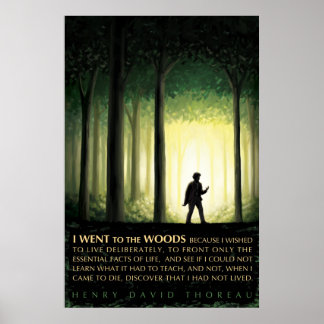 Póster Henry David Thoreau cita: Eu fui à floresta